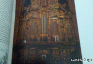 imagem_8