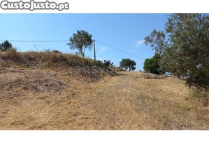 imagem_23
