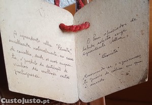 imagem_2