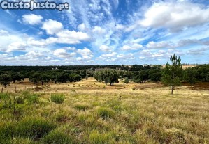 Quinta em Lavre com vrios Montes