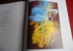 imagem_13