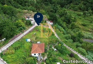 imagem_11