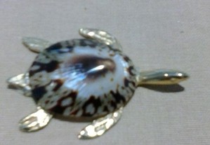 Tartaruga pequena com concha NOVA