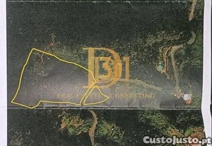 imagem_22