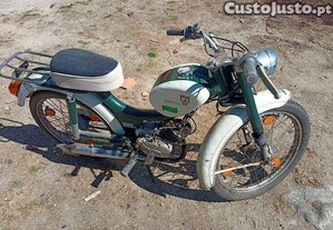 Sachs minor GT