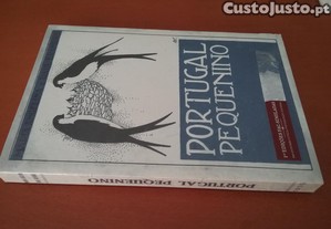 imagem_3