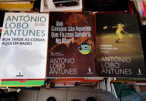 imagem_2