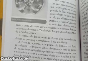 imagem_6