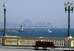 imagem_10