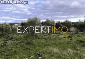 imagem_13