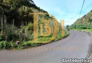 imagem_12