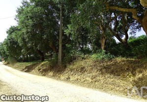 imagem_8
