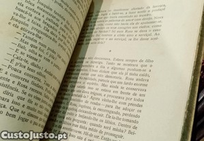 imagem_8