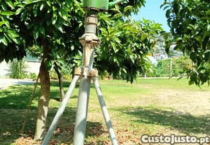 imagem_1