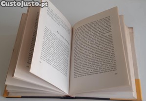 imagem_8