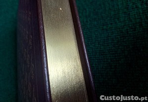 imagem_6