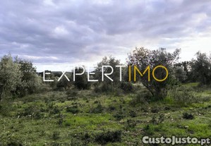 imagem_11