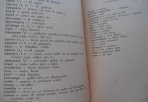 imagem_4