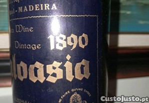 imagem_3