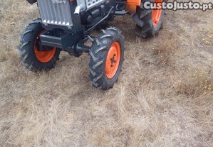 imagem_5
