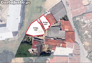 imagem_7