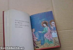 imagem_6