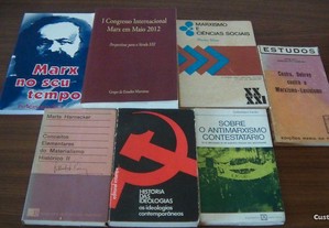 imagem_3