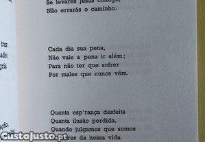 imagem_11