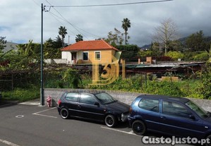 imagem_7