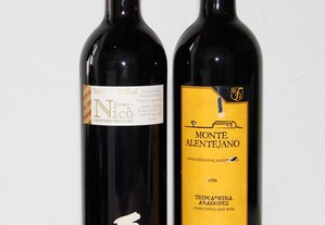 Vinhos tintos de 2006 com 18 anos