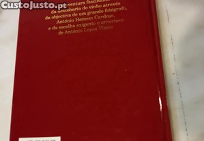 imagem_2