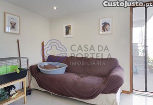 imagem_25