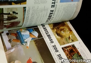 imagem_4