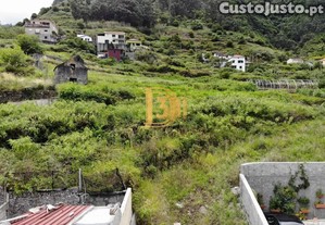 imagem_7