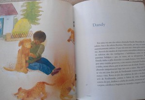 imagem_3