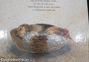 imagem_6