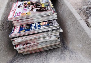 imagem_2