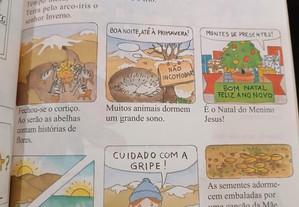 imagem_5