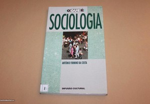 Sociologia// António Firmino da Costa