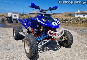 GasGas Wild 300