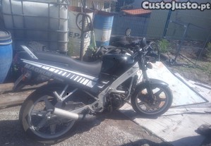 imagem_1
