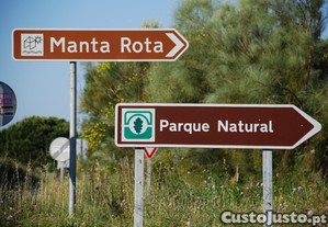 imagem_12