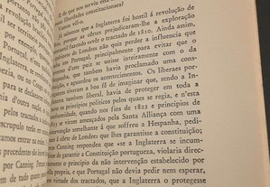 imagem_6