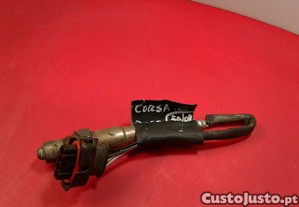 imagem_1