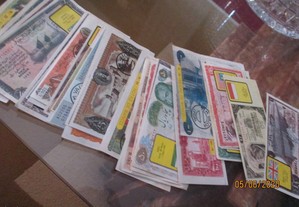 imagem_3
