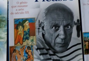 Livro de arte PICASSO Artbook Nova Galicia Arte