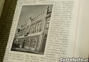 imagem_13