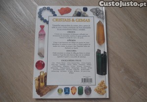 imagem_8