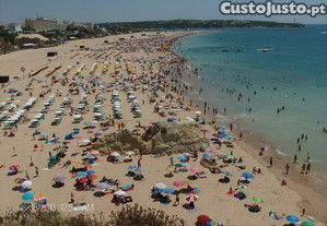 imagem_7