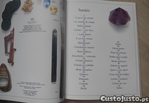 imagem_6